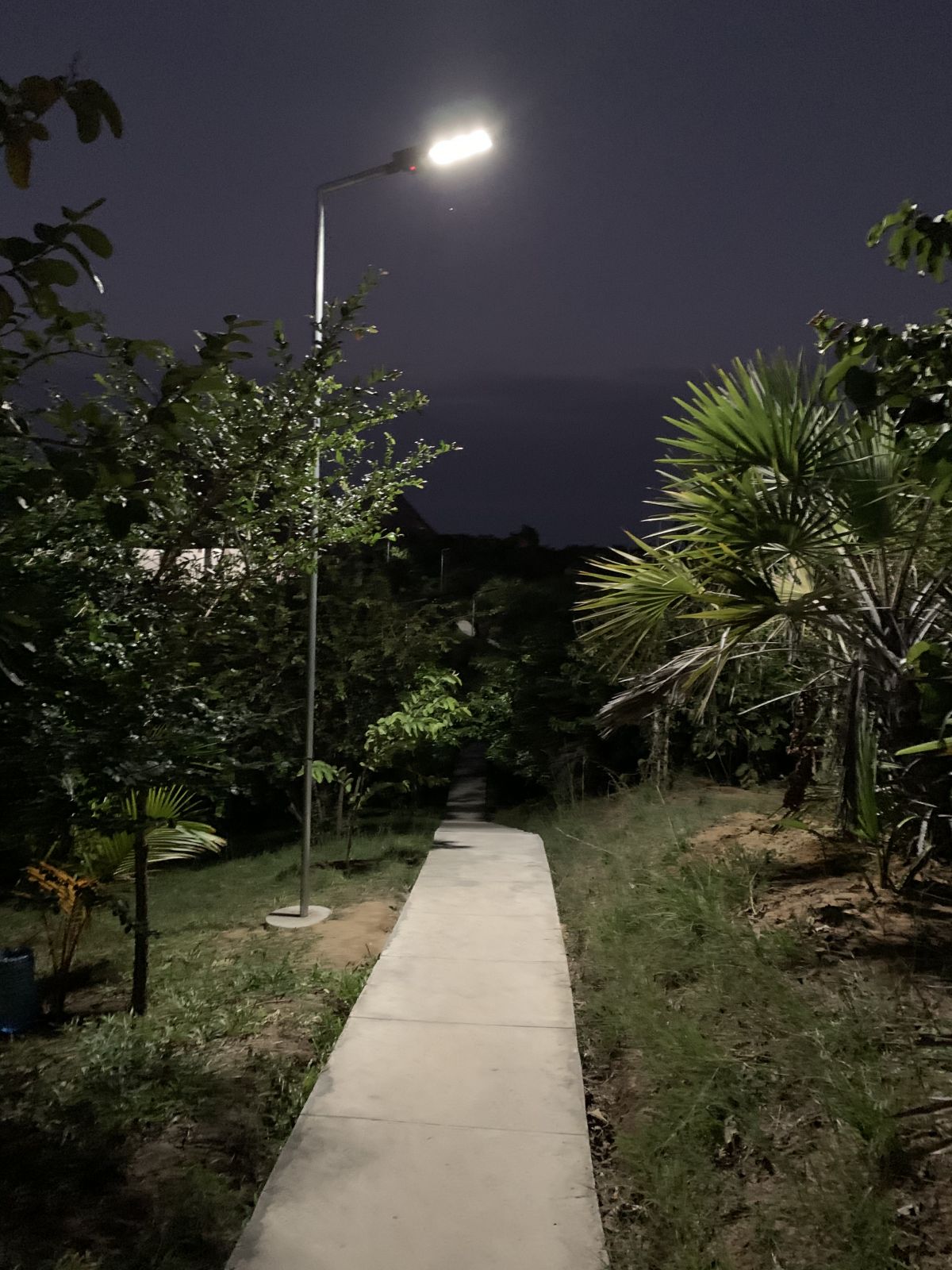 Recinto y caminos - Image 2