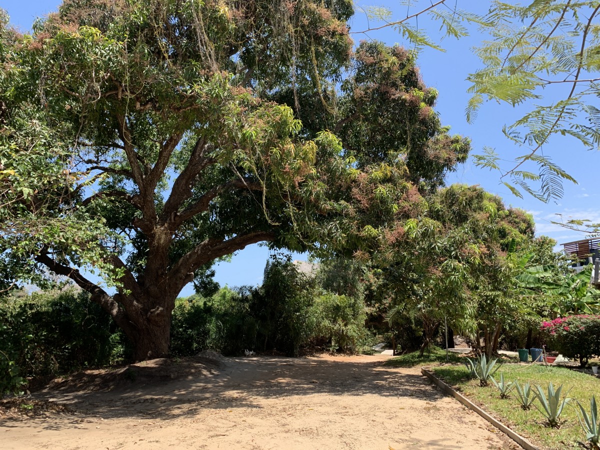 Recinto y caminos - Image 3