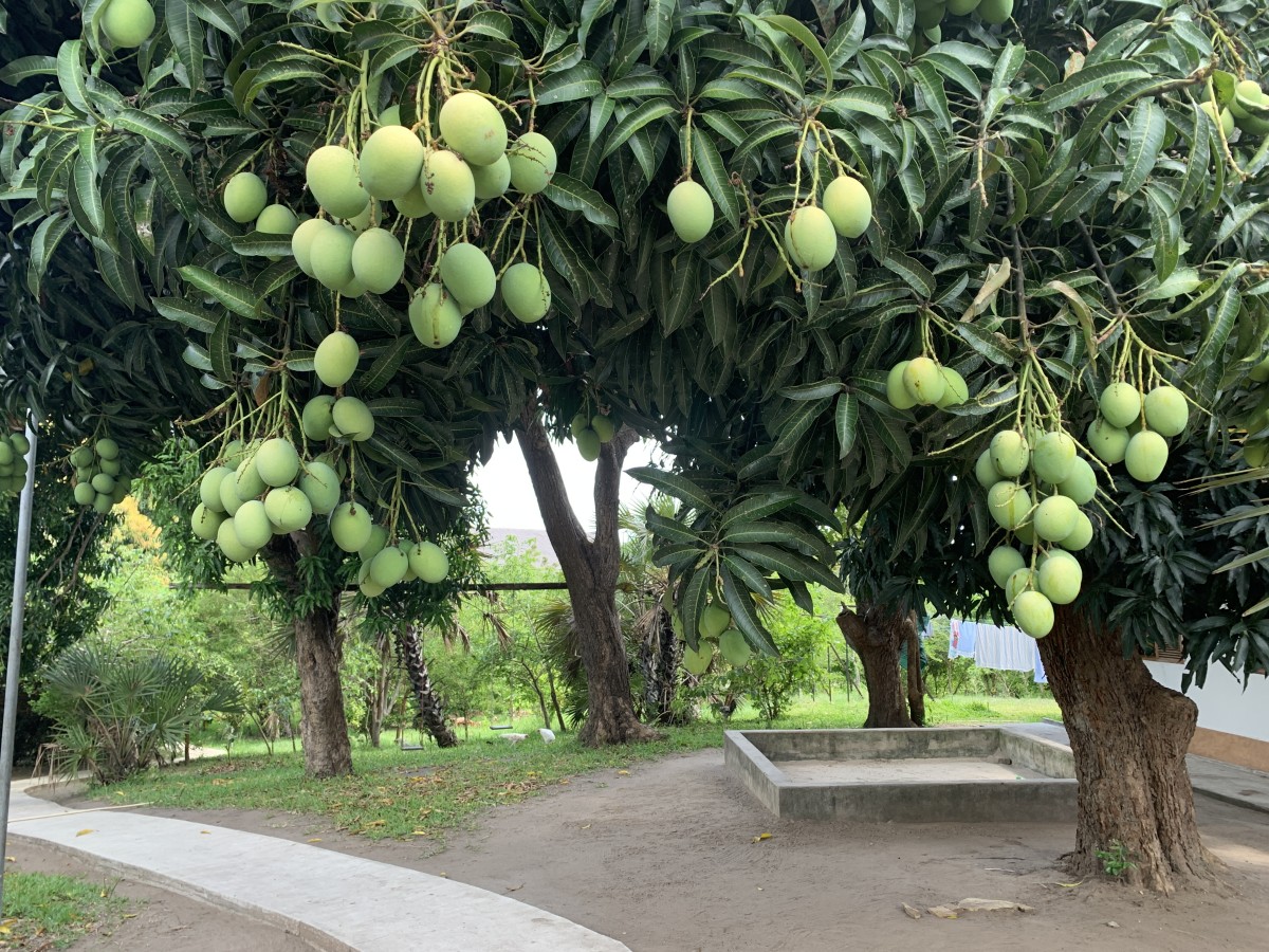 Recinto y caminos - Image 4