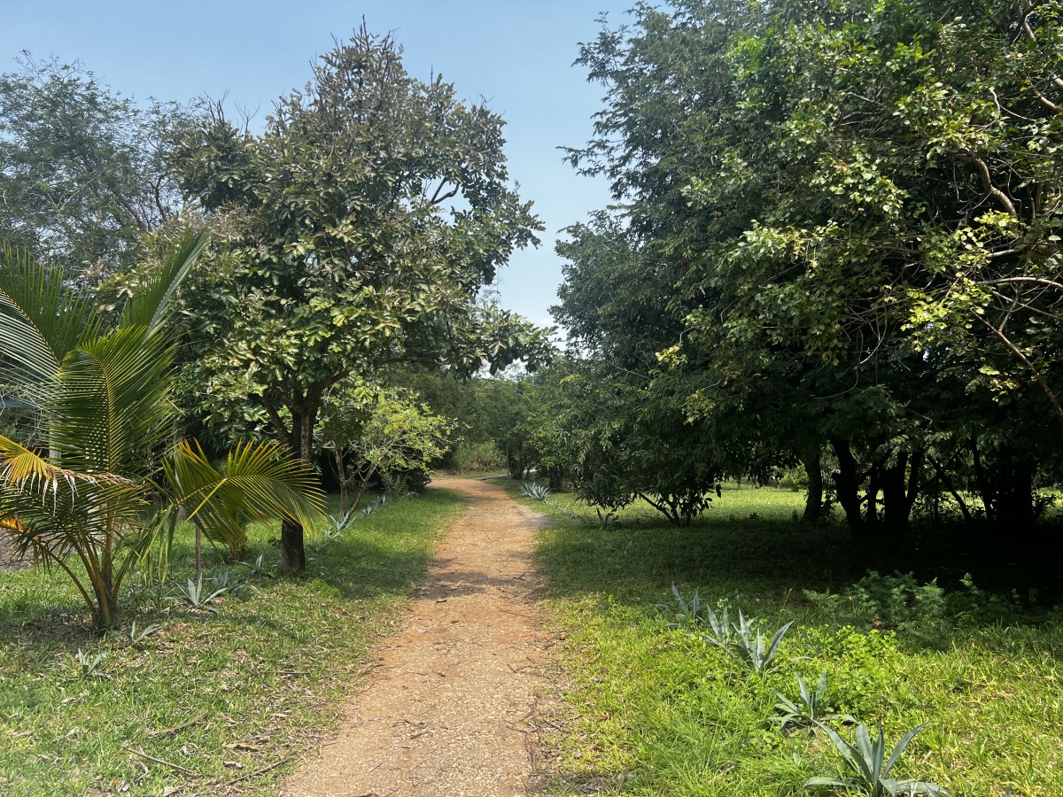 Recinto y caminos - Image 5