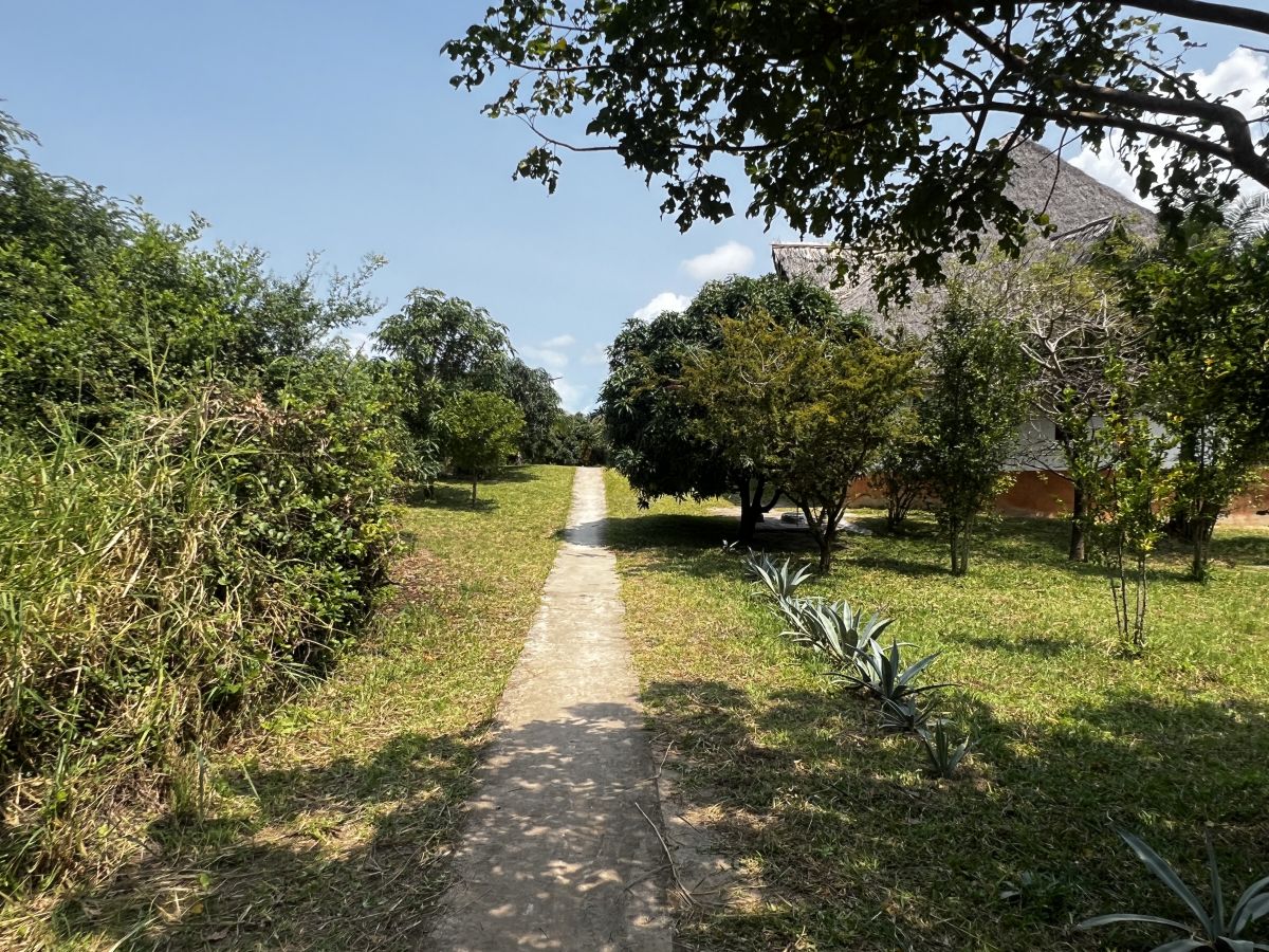 Recinto y caminos - Image 6