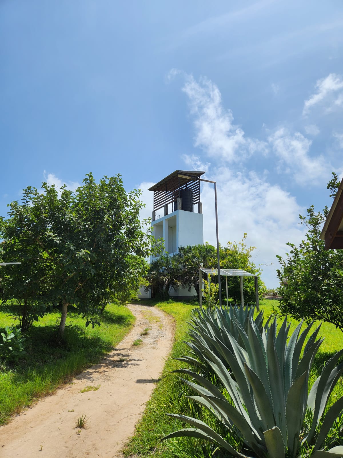 Recinto y caminos - Image 7