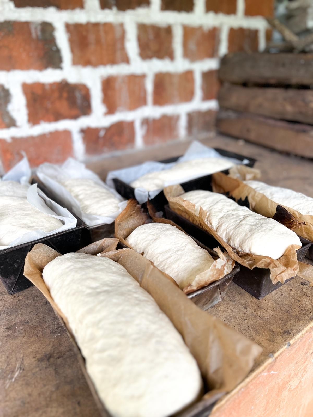 Horno de pizza - Image 1