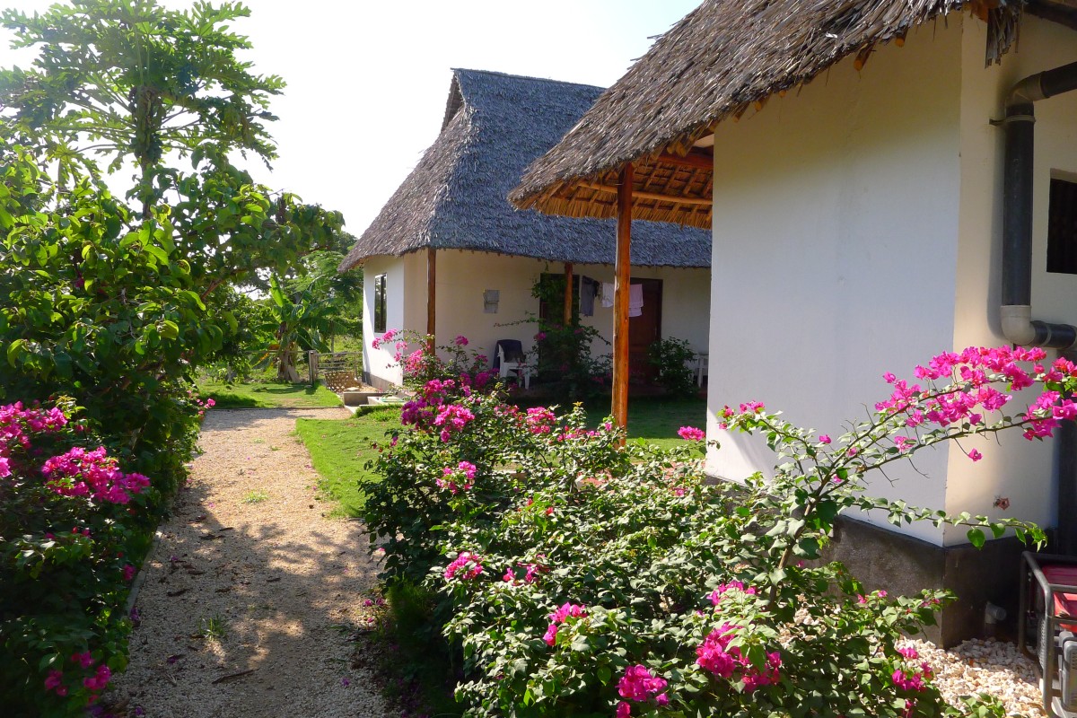 Viviendas del personal - Image 6