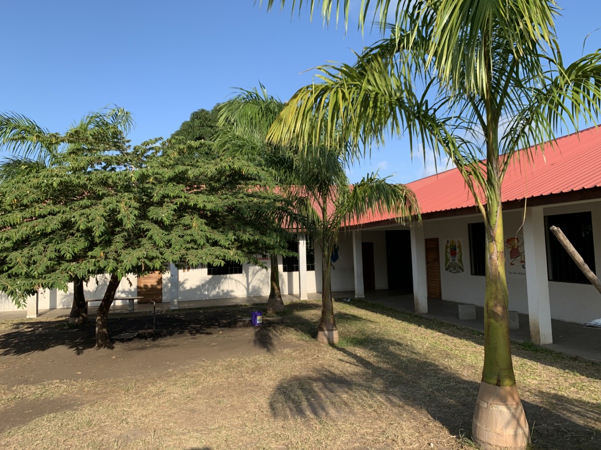 Escuela - Image 5