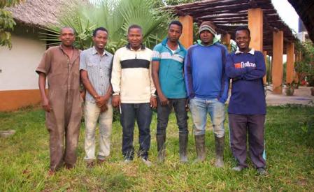 Os nossos zelosos pedreiros