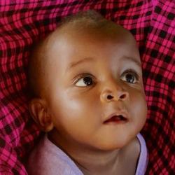 Boletín de Junio de 2020