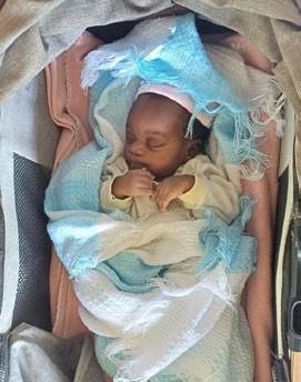 O nosso recém-nascido