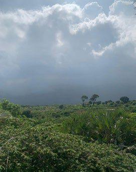 Estação das Chuvas