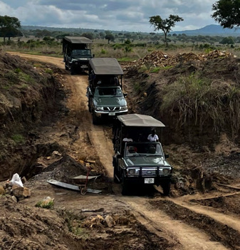 Mikumi