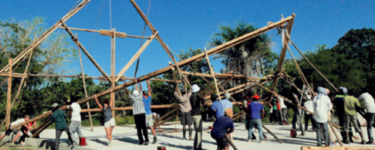 Boletín Noviembre 2018