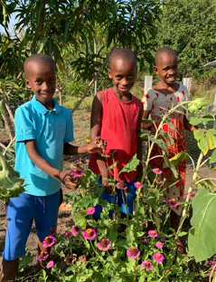 Flores para as abelhas