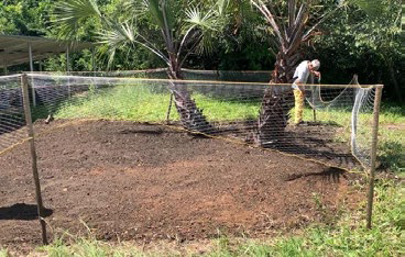 Uma cerca por causa das galinhas