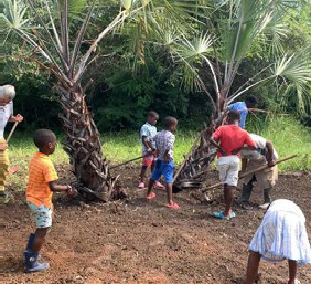 Boletín de noviembre de 2023