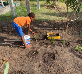 O começo não é fácil