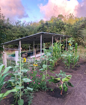 Depois de algumas semanas