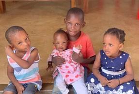 Boletín de noviembre de 2024