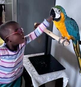 Sin miedo al loro joven