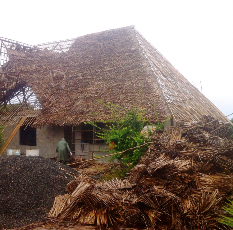 O telhado Makuti está sendo coberto.